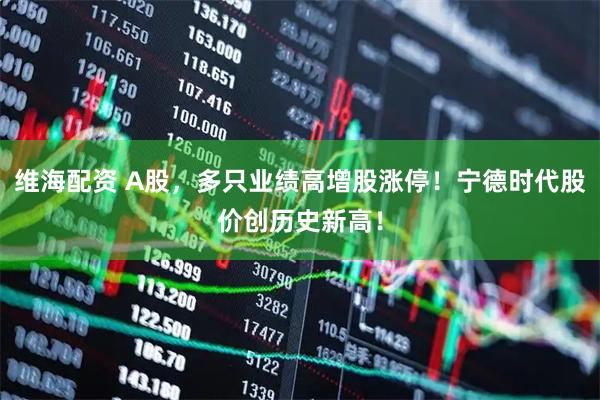 维海配资 A股，多只业绩高增股涨停！宁德时代股价创历史新高！