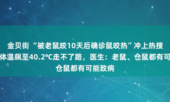 金贝街 “被老鼠咬10天后确诊鼠咬热”冲上热搜，男子体温飙至40.2℃走不了路，医生：老鼠、仓鼠都有可能致病
